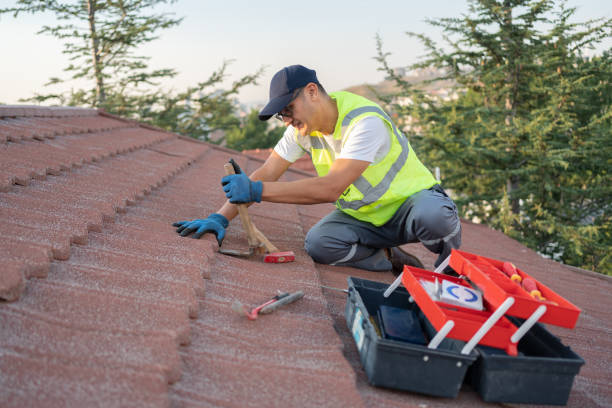 Best Flat Roof Repair Services  in Santa Anna, TX