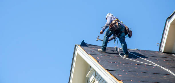 Best Shingle Roofing Installation  in Santa Anna, TX